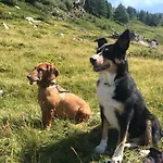La Ghianda Con Terrazza Lägenhet