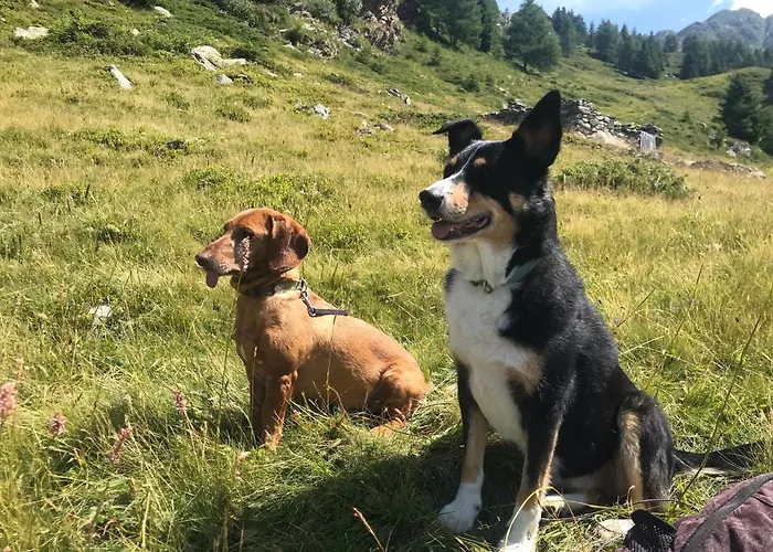 La Ghianda Con Terrazza Appartement